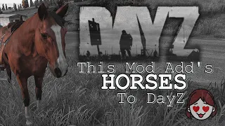 DayZ - This Mod is AMAZING! HORSES in #dayz  !