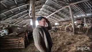 STÂNĂ DL IOAN CÂMPIAN  ,PREȘEDINTELE ASOCIAȚIEI DE OVINE ȘI CAPRINE ,JUD BISTRITA-NASAUD .LOC TEACA.