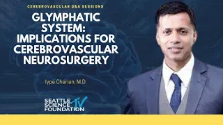 Glymphatic System: Implications for Cerebrovascular Neurosurgery –  Iype Cherian, M.D.