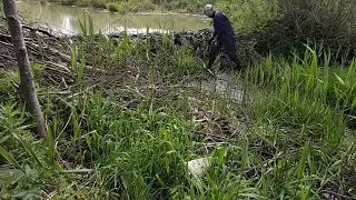Expedition #22 | Beaver dam removal. Proper thigh boots, finally :)