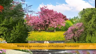 Урок 7  Создание красивого пейзажного стиля в Proshow Producer