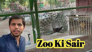 Zoo ke Sair Lion 🦁 Attack Me