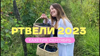 РТВЕЛИ 2023. Тбилиси - Кварели. Кахетия. Праздник сбора урожая