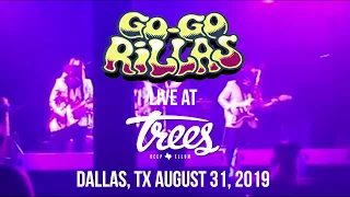 "Little Sister/Peter Gunn-LIVE" by the GO GO RILLAS Surf Garage Monkey Rock!