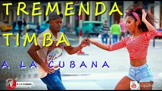 EXCELENT TIMBA CUBANA en La Habana - rumba salsa cubana