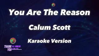 You Are The Reason - Calum Scott ( Karaoke Version )