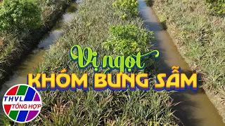 Nhịp sống đồng bằng: Vị ngọt khóm Bưng Sẫm