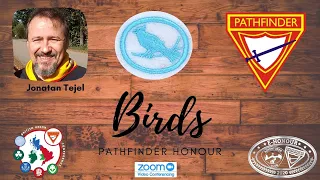 Birds Pathfinder Honour e Honour