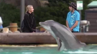 Fake Sea World Employee Prank!