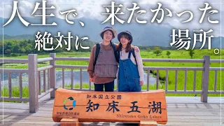 [Hokkaido/Shiretoko] Walk the world heritage site where brown bears live.