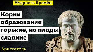 Золотые слова Аристотеля | Цитаты, афоризмы, мудрые мысли
