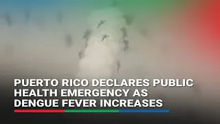 Puerto Rico declares public health emergency as dengue fever increases | ABS CBN News