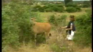 Stefanie Powers in Kenya (TV France 1986)