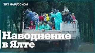 По улицам Ялты плавают крокодилы