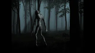 Cryptids and Monsters:  "Algonquin Park sighting", a Crawler/Skinwalker encounter in Canada!!