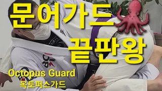 옥토퍼스가드 Octopus Guard (기술도움 : 이종진) #옥토퍼스가드 #OctopusGuard