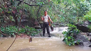Stream fishing after the rain. Harvesting large schools of fish - 365 Days alone in the forest.