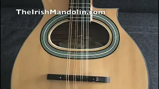 The Beauty Spot - a reel in D Mixolydian tabbed for mandolin and played by Aidan Crossey