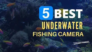 ⭕ Top 5 Best Underwater Fishing Camera 2021 [Review and Guide]
