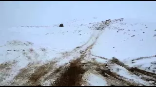 Suzuki's cruising in snow powered by bmw's 318IS