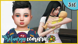 "😍 ALLEGRA GEMOY BANGET & ALYSSA LAHIRAN 😱" | Ep.316 | The Sims 4 Cemara Family