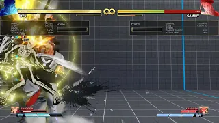 Ryu's max damage corner cc with two bars