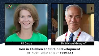 Iron in Children and Brain Development