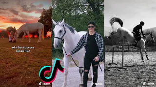 The Best HORSE TikTok Compilation 2022 #32