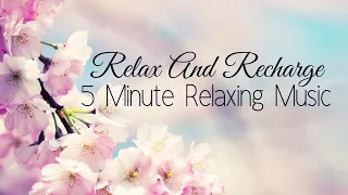 5 Minute Relaxing Music l Relax And Recharge