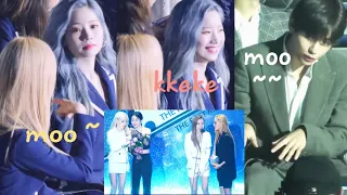 190424 Idols react to MAMAMOO (마마무) at The Fact Music Awards (TMA)