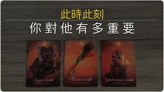 你對他有多重要？你在他心裡是什麼位置？ |塔羅占卜/曖昧/愛情/感情