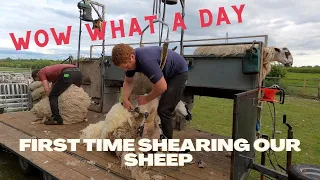 Shearing Sheep for the First Time Down on the Farm in 2022