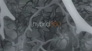 hybrid | 360° animation demo reel