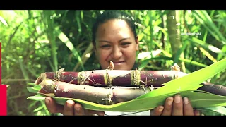 Ahi ma’a ou four Tahitien