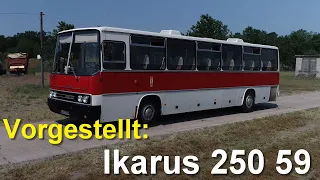 Vorgestellt: Unser Ikarus 250