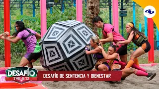 Desafío The Box 2022: Una prueba de fuerza e inteligencia define quién se lleva las comodidades