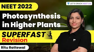 Photosynthesis in Higher Plants | Super Fast Revision | Biology | NEET 2022 | Ritu Rattewal