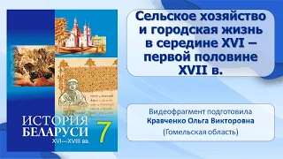 Белорусские земли в XVI — XVII в.. Тема 8. Сельское хозяйство и городская жизнь в XVI — XVII в.