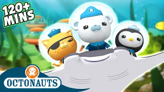 #Summer Octonauts - 2 Hour Special! | Cartoons for Kids | Underwater Sea Education