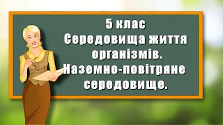 СЕРЕДОВИЩА ЖИТТЯ ОРГАНІЗМІВ. Наземно-повітряне середовище. #ПізнаємоПрироду