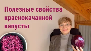 Краснокочанная капуста. Полезные свойства и противопоказания.