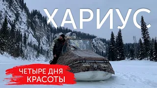 САМАЯ КРАСИВАЯ ЗИМНЯЯ РЫБАЛКА! Ищем хариуса на аэролодках.