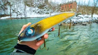 Winter Fishing HUGE BAITS For GIANT MUSKIE! My BIGGEST Yet?! (river monster)