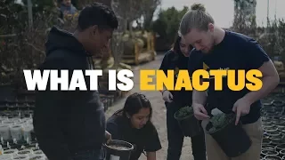 What is Enactus