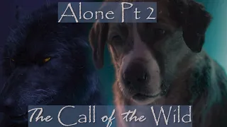 The Call of the Wild - Alone Pt 2 MV