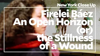 Firelei Báez: An Open Horizon (or) the Stillness of a Wound | Art21 "New York Close Up"