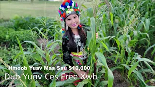 Hmoob Yuav Ces Sau  $10,000 Dub Yuav Ces Free Xwb~08/25/2023~