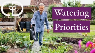 Which vegetables most benefit from water and when