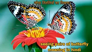 seeing pairs of butterfly meaning in hindi जोड़े में तितलियां दिखना होगा चमत्कार।#butterfly#lawofatr