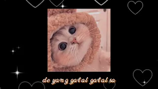 De Yang Gatal Gatal Sa 𝒔𝒍𝒐𝒘𝒆𝒅 𝒓𝒆𝒗𝒆𝒓𝒃